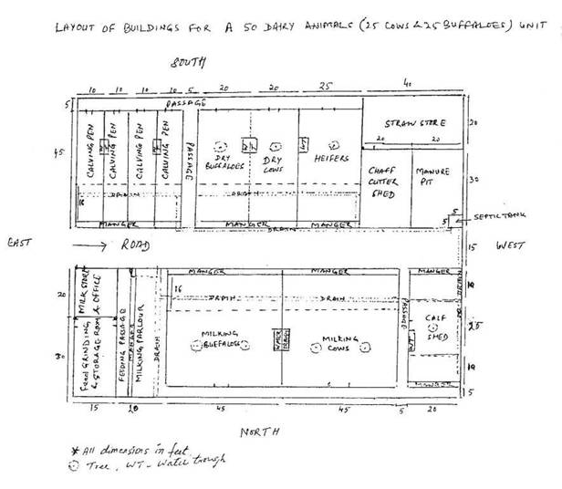 cattle farm layout