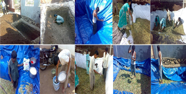 Silage Making