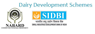 Dairy Development Schemes