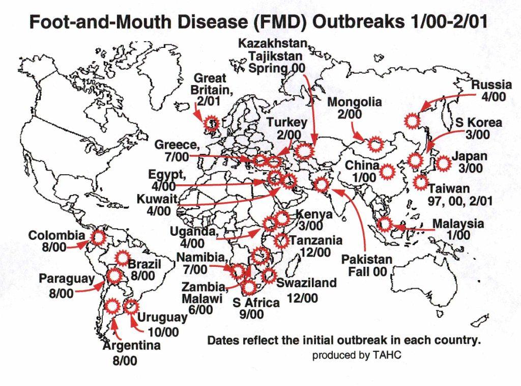 FMD Outbreak