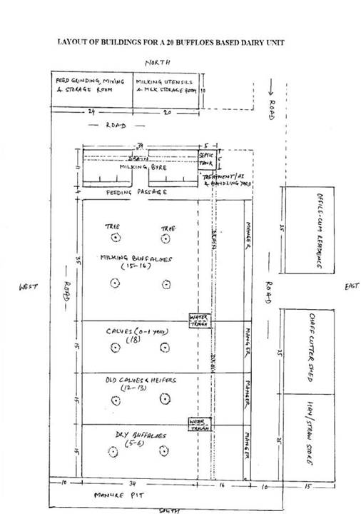 Indian Dairy Farm Design